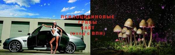 не бодяженный Алзамай