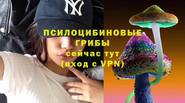 не бодяженный Алзамай