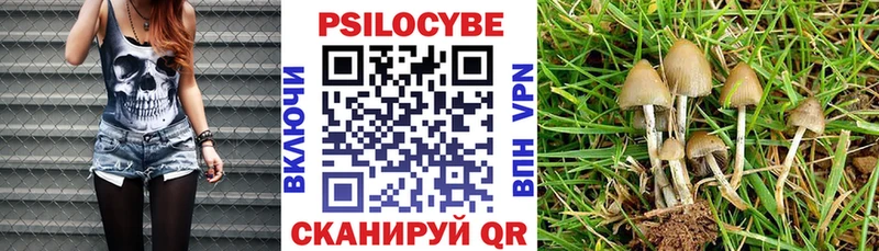 мориарти как зайти гидра рабочий сайт Ковылкино Галлюциногенные грибы мухоморы